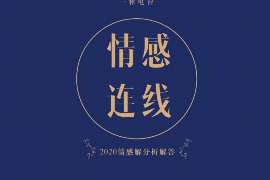 陈仓捉小三公司